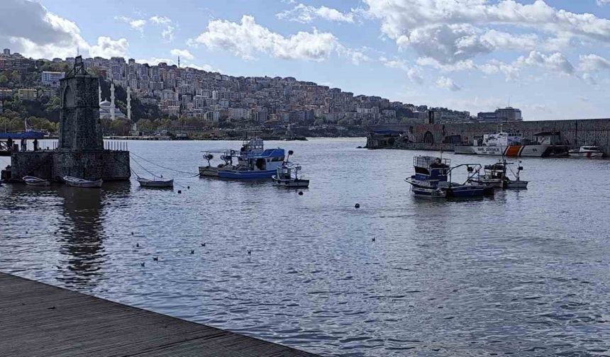 Zonguldak Limanı sarı renge boyandı