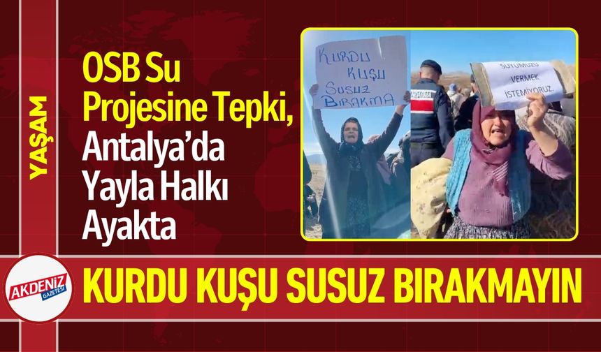 Antalya'da Köylülerin Su Savaşı: “Suyumuz Toprağa Aksın”