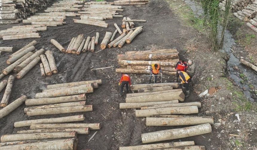 Düzce Orman Ürünlerinde Rekora Koşuyor