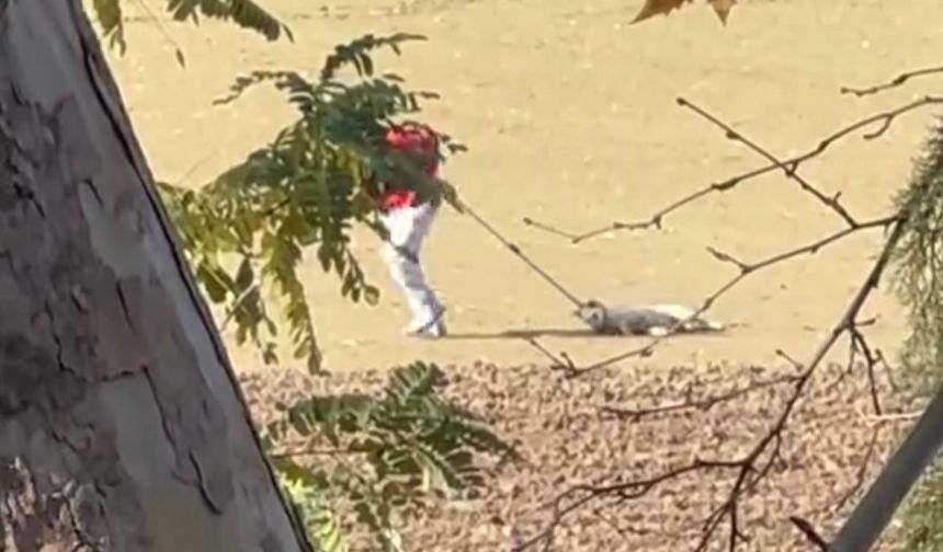 Edirne'de Yürek Burkan Görüntüler