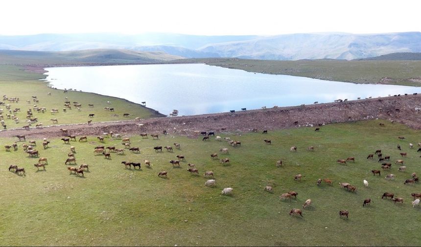 Erzurum Büyükşehir, Yerel Yönetimlere Rol Model Oldu