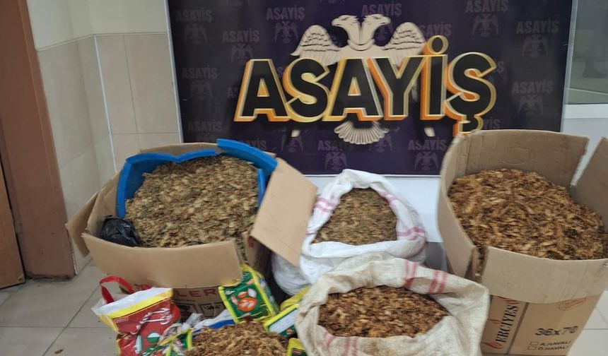 Hatay'da Tütün Operasyonu: 250 Kilogram Tütün Ele Geçirildi