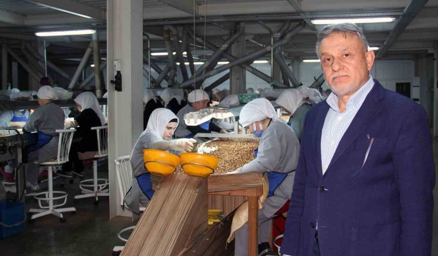 İhracatta %50 Düşüş Fiyatları Baskılıyor: Yıl Sonuna 290 TL