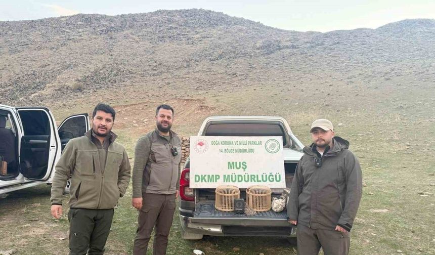 Kafes avcılığı yapan şahıs suçüstü yakalandı: 20 bin TL ceza