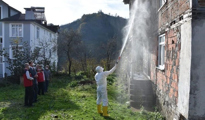 Kahverengi Kokarcaya Karşı Kışlak İlaçlaması Başladı