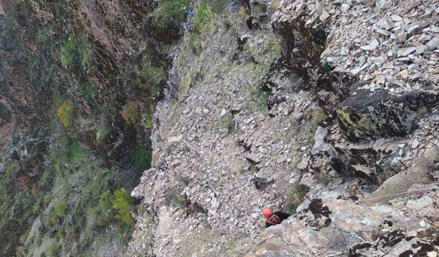 Kayalıklarda Mahsur Kalan 5 Keçi İtfaiyeyle Kurtarıldı