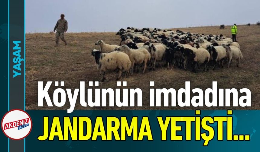 Köylünün İmdadına Jandarma Yetişti