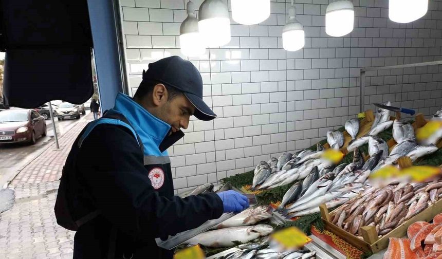 Kırklareli'de Su Ürünleri Denetimi Aralıksız Sürecek