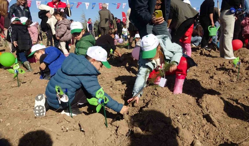 Milli Ağaçlandırma Hareketi: Burdur’da 13 Bin Yeni Nefes