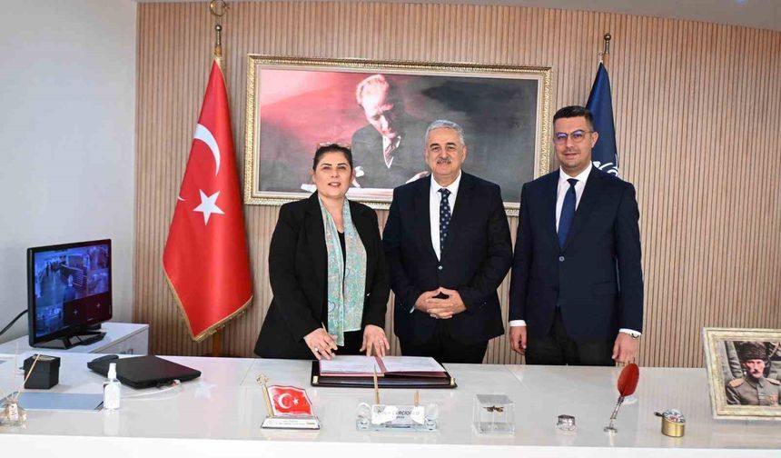 Sokak Hayvanları İçin 217 Milyon Liralık Yaşam Alanı Kuruluyor