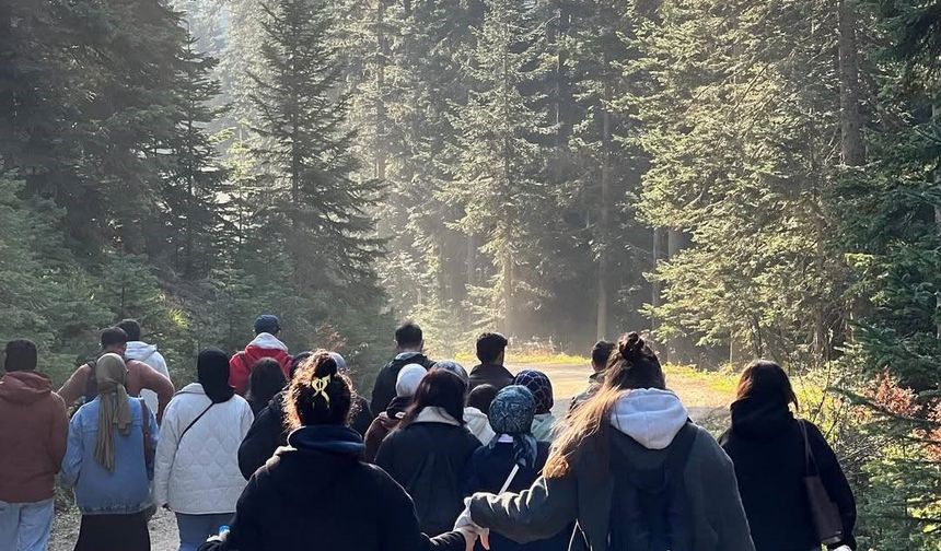 Türkeli Çatak Köylerinde Doğa ve Müzik Buluşması