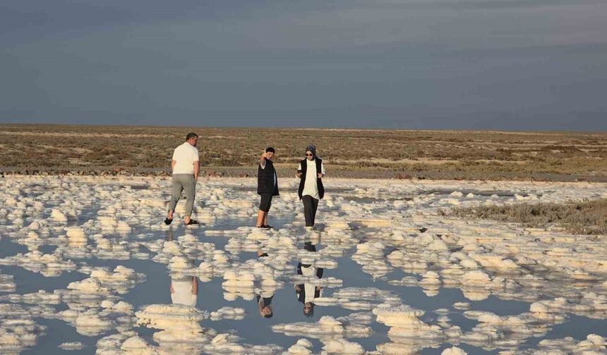 Papatyayı Andıran Dev Tuz Kütleleri Ortaya Çıktı