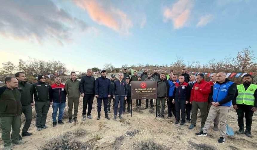 Uçak Kazası Şehitleri Anısına 50 Bin Fidan Toprakla Buluştu