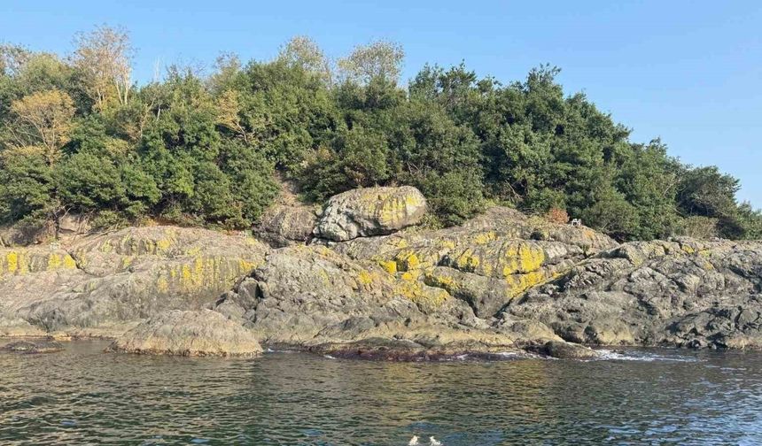 Vali Serdengeçti, Giresun Adası'nın Cazibesine Dikkat Çekti