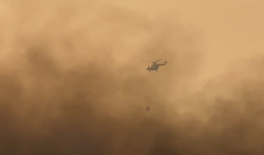 Yüksekova’nın kuş cennetindeki yangına havadan müdahale