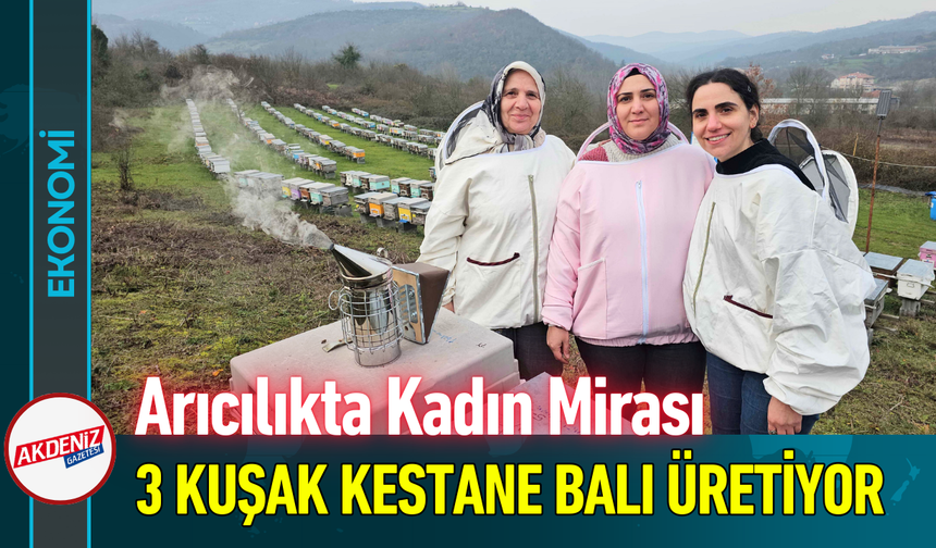Arıcılıkta Kadın Mirası: 3 Kuşak Kestane Balı Üretiyor!