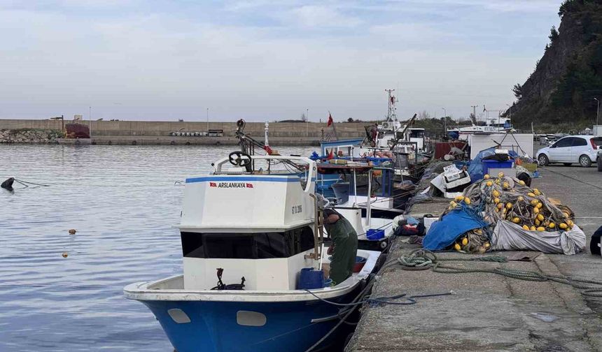 Balıkçılık Sezonu Hayal Kırıklığı: Hamsi Var Çeşit Yok