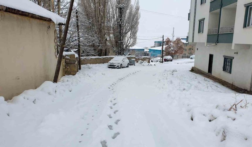 Başkale'de Yoğun Kar Yağışı: İlçe Beyaza Büründü