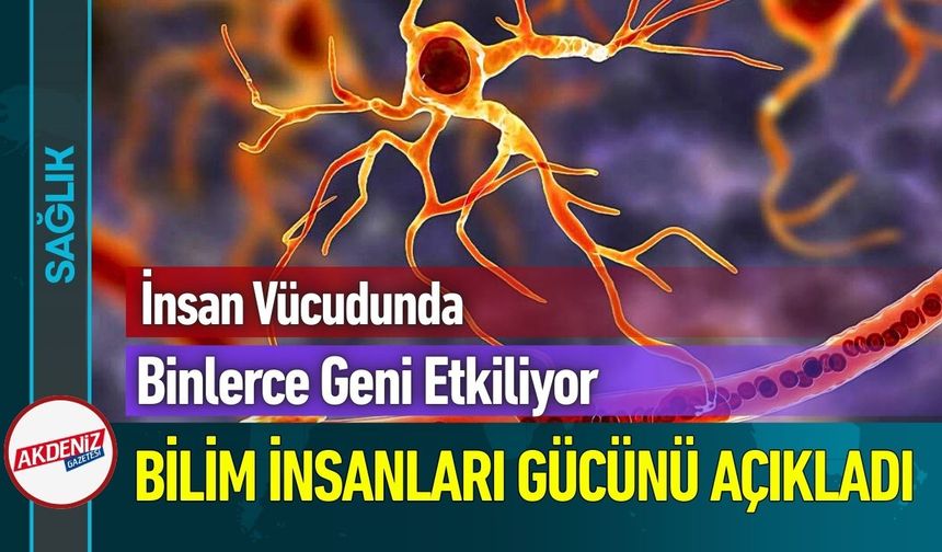 Binlerce Geni Etkiliyor! Bilim İnsanları Gücünü Açıkladı