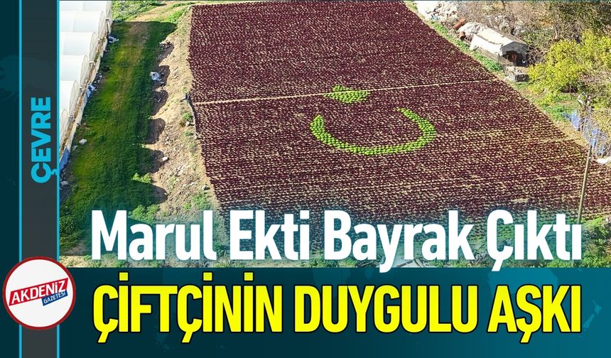 Çiftçiler 1,5 Dönüme 13 Bin Fidanla Tarlaya Türk Bayrağı
