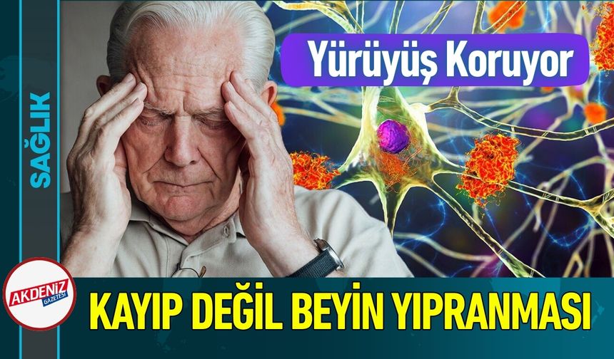 Demans Riskini %35 Azaltmanın Yolu Nedir?