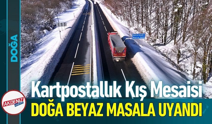 Bolu Dağı'nda Doğa Beyaz Bir Masala Uyandı