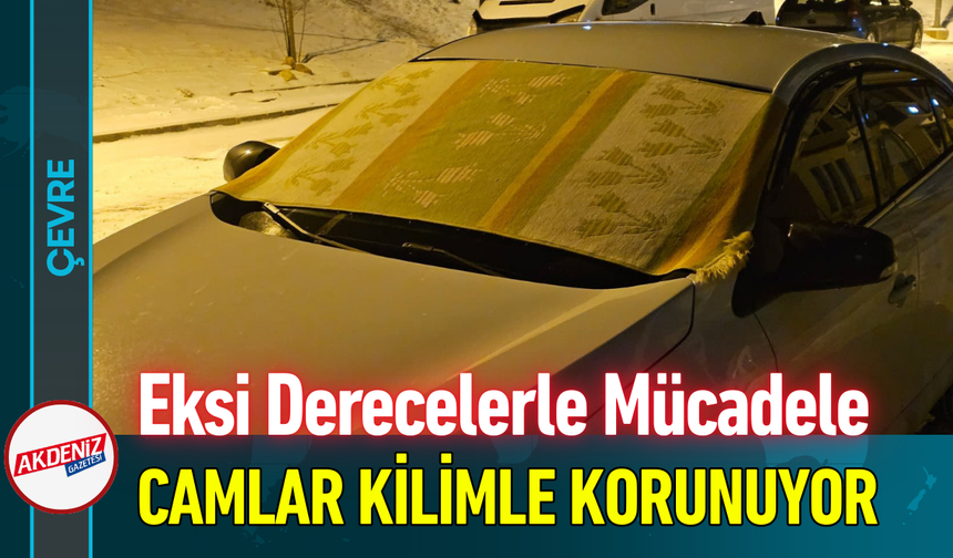 Eksi Derecelerle Mücadele: Camlar Kilimle Korunuyor!