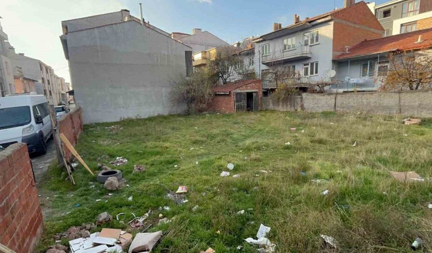 Eskişehir’de boş arsada 8 ölü kedi bulundu