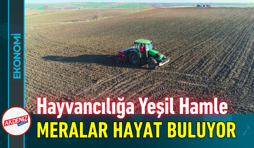 Hayvancılığa Yeşil Hamle: Meralar Hayat Buluyor!