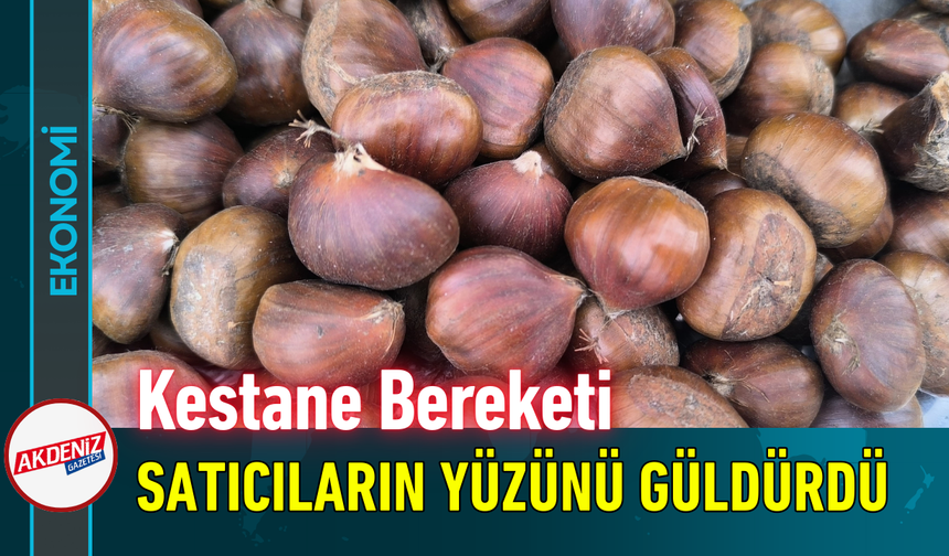Kestane Bereketi Satıcıların Yüzünü Güldürdü!