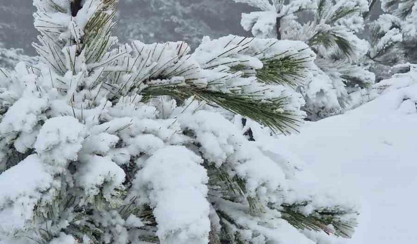 Muğla'ya Kış Geldi: Göktepe Dağı'na Mevsimin İlk Karı Düştü