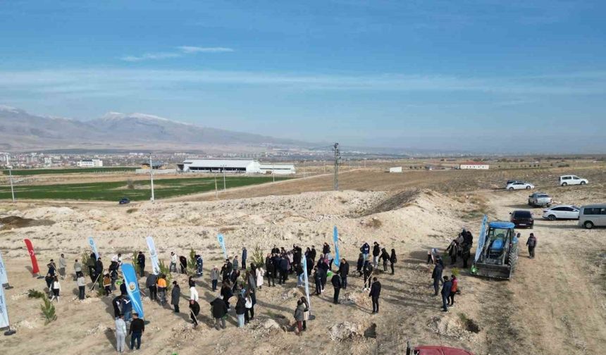 Niğde’de bal ormanı için 5 bin fidan toprakla buluştu