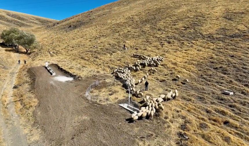 Niğde’de meralara yeni hayvan içme suyu alanı kazandırıldı