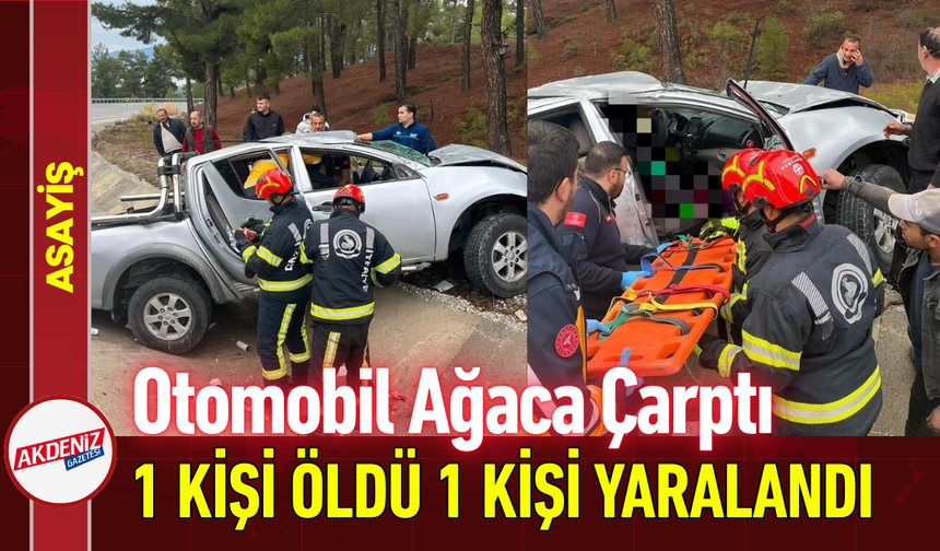 Otomobil Ağaca Çarptı: 1 Kişi Öldü 1 Kişi Yaralandı!