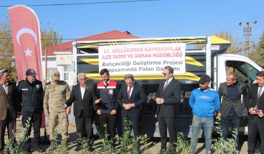 Tarıma Zeytinle Nefes: Çiftçilere 4 Bin Fidan