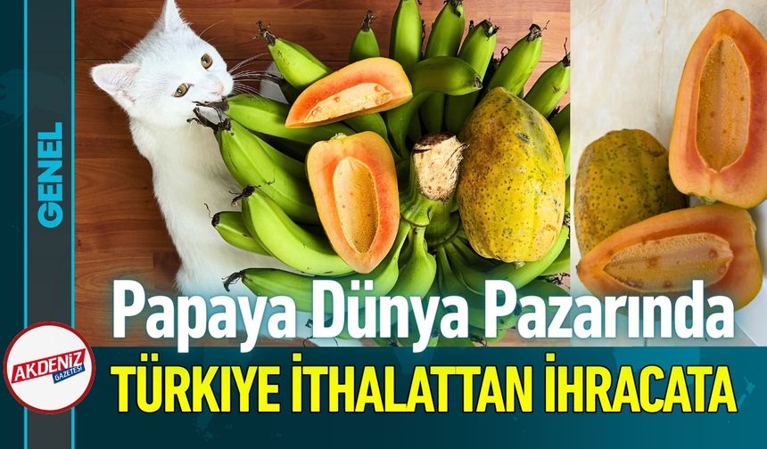 Türkiye Papaya'da İthalattan İhracatçı Konumuna Yükseldi