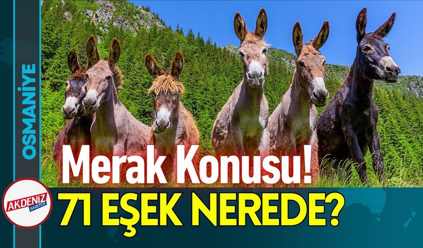 Osmaniye Valisi Yılmaz, HSK Üyelerini Ağırladı