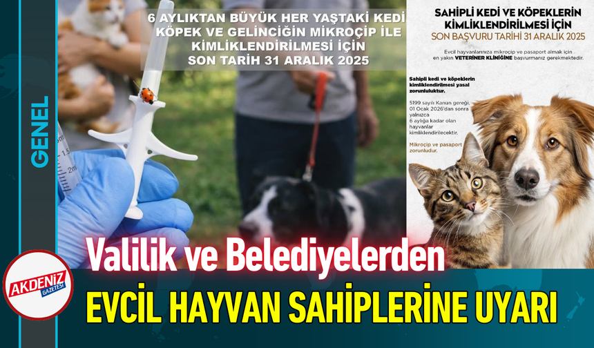 Valilik ve Belediyelerden Evcil Hayvan Sahiplerine Uyarı!