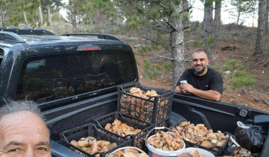 Yağışlar Sonrası Kamyonet Dolusu Cintar Toplandı