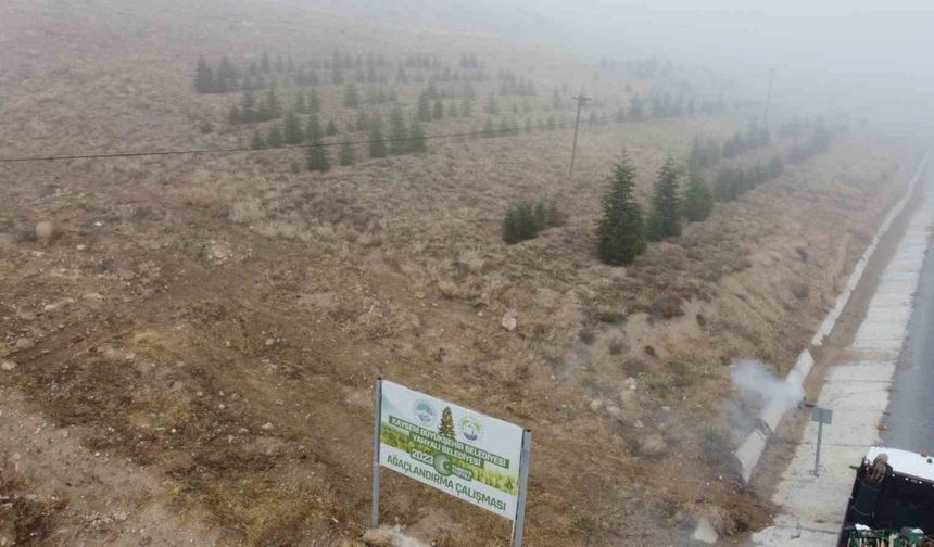 Yahyalı’ya bin 200 fidan dikildi