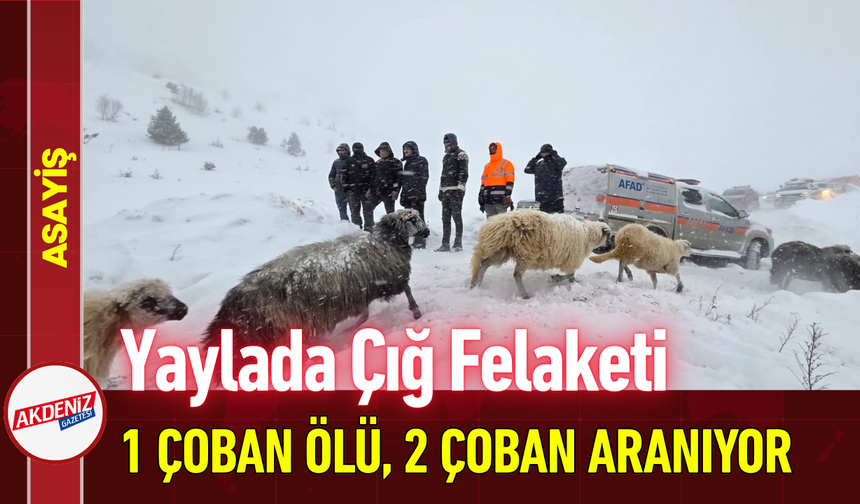Yaylada Çığ Felaketi: 1 Çoban Ölü, 2 Çoban Aranıyor!
