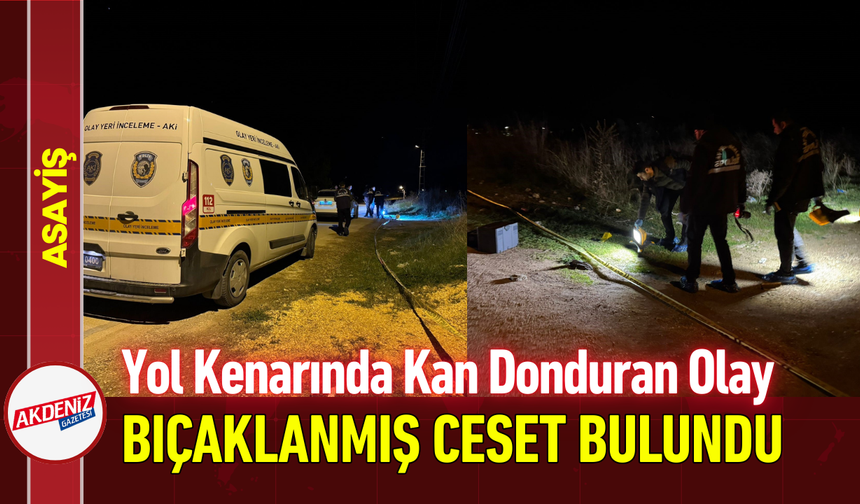 Yol Kenarında Kan Donduran Olay: Bıçaklanmış Ceset Bulundu!