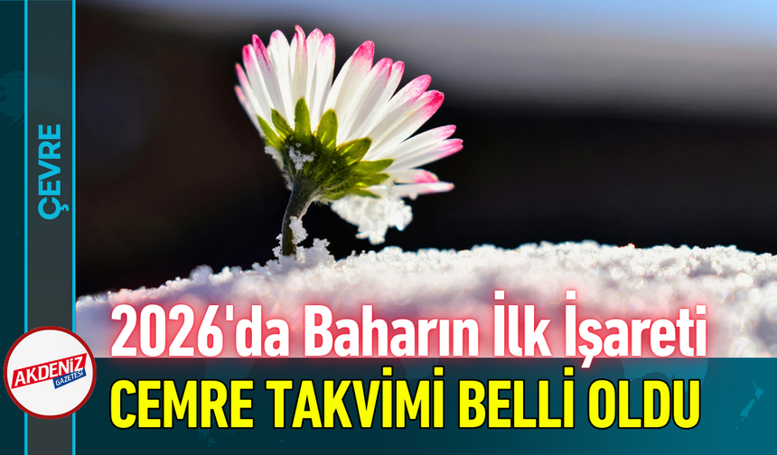 2026'da Baharın İlk İşareti: Cemre Takvimi Belli Oldu!
