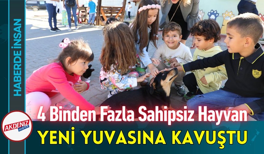 4 Binden Fazla Sahipsiz Hayvan Yeni Yuvasına Kavuştu!