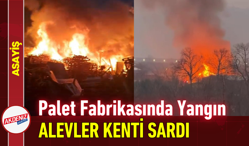 Ahşap Palet Fabrikasında Yangın: Alevler Kenti Sardı!