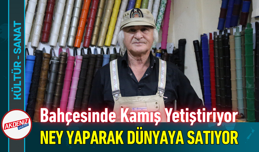 Bahçesinde Kamış Yetiştiriyor, Ney Yaparak Dünyaya Satıyor!