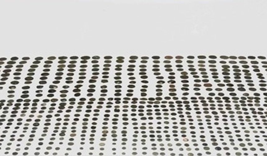 Binlerce Yıllık Miras 1003 Adet Sikke Yakalandı