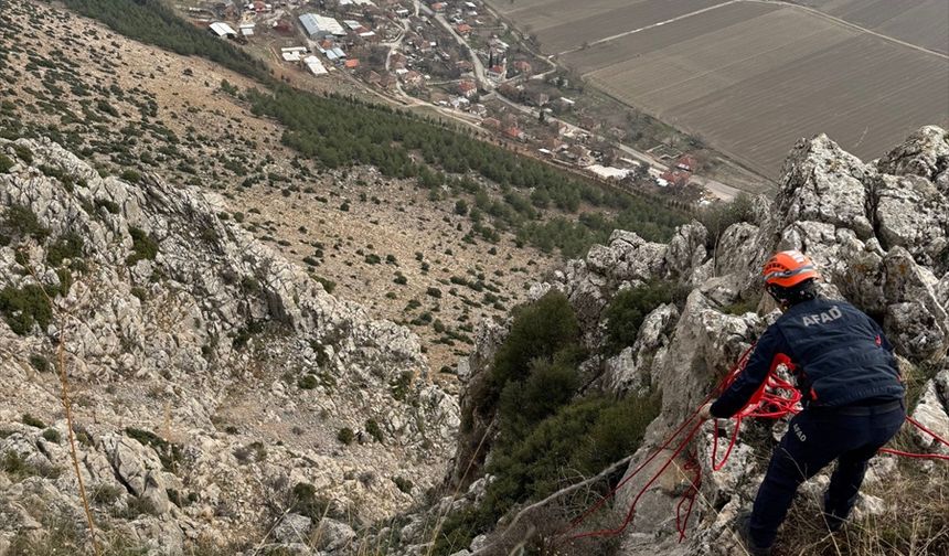 Bucak'ta Dağda Mahsur Kalan Keçiye AFAD Operasyonu