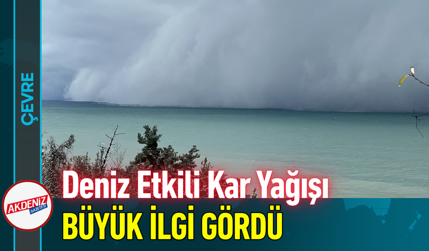 Deniz Etkili Kar Yağışı Büyük İlgi Gördü!