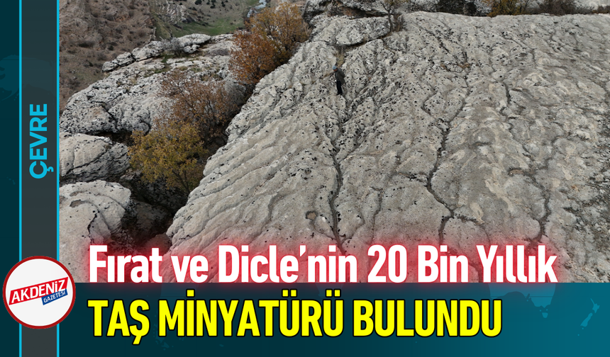 Fırat ve Dicle’nin 20 Bin Yıllık Taş Minyatürü Bulundu!